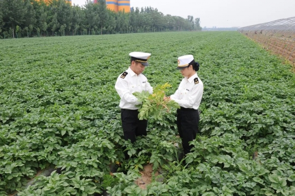 “稳外贸稳外资 青岛海关在行动”之十八 | 专访枣庄海关关长闫卫平w7.jpg