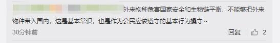 广州海关查获外来物种“巨人恐蚁”：喷酸可致人化学灼伤 网友质问“买的人想干嘛？”-8.jpg