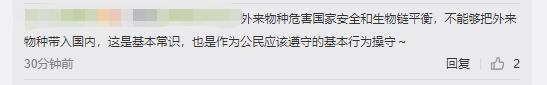 广州海关查获外来物种“巨人恐蚁”：喷酸可致人化学灼伤。 网友质问“买的人想干嘛？”-8.jpg