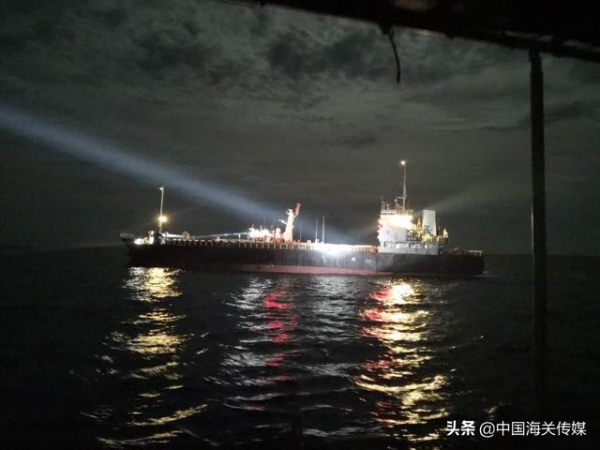 生物多样性国际日 | 厦门海关破获特大犀牛角走私案-2.jpg