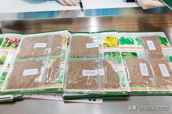 宣传材料夹藏120克植物种子进境被查获-2.jpg