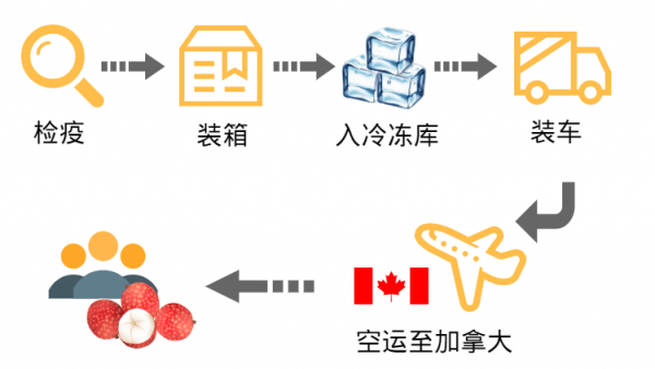 视频 | 黄埔海关助力增城荔枝“甜蜜首发”北美市场w3.jpg