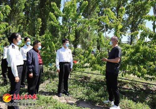 新疆首家樱桃出口基地取得海关注册资质-1.jpg