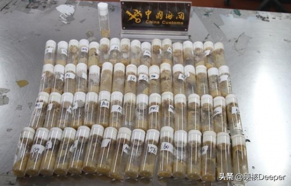 青岛海关查获7000只黑腹果蝇！是美国对中国的生物战吗？-1.jpg