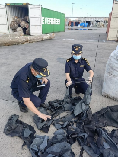 广州海关查获30余吨禁止进境的进口牛皮碎料-1.jpg