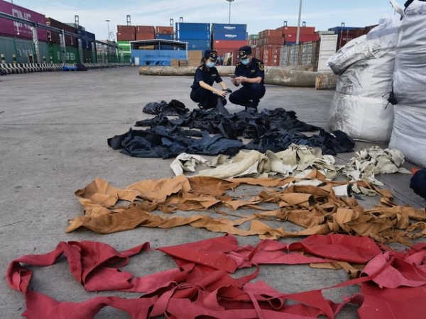 广州海关查获30余吨禁止进境的进口牛皮碎料-2.jpg