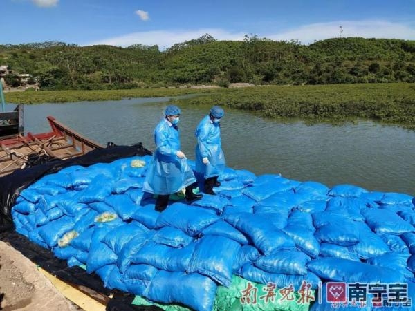 爱吃鸡爪的人注意了！广西海关查获涉嫌走私即食鸡爪37.53吨-3.jpg