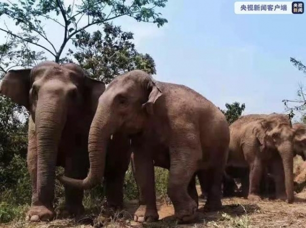 全网沸点 | 天津发布中考提示；经港珠澳大桥进出口总值突破2000亿元；美国得州枪击致14人受伤......-6.jpg