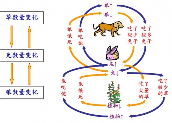 继美国包裹之后！上海海关又查获1200只黑腹果蝇 生物入侵威胁严重-8.jpg