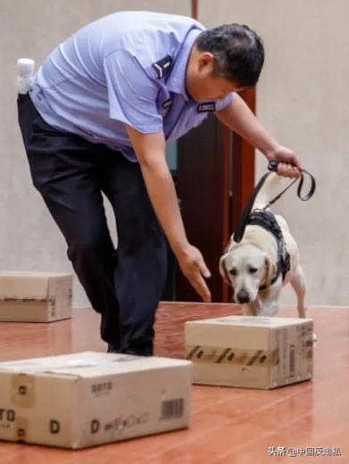 【天津反走私】天津海关反走私进校园之天津大学专场-9.jpg