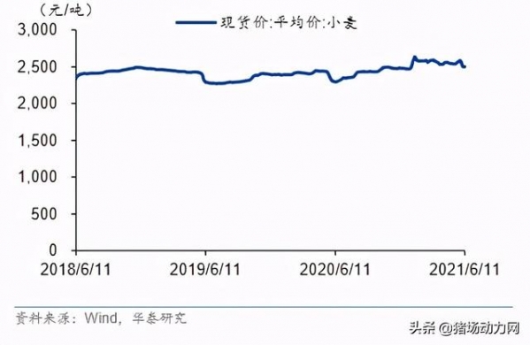 又一噩耗传来！海关最新数据公布，危险的何止7元猪价-7.jpg