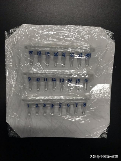 海关查获24支生物制品DNA-2.jpg