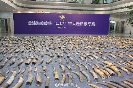 61.6吨走私濒危物种及制品被海关查扣-1.jpg