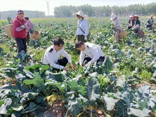 (视频)我为群众办实事 | 南京海关助力西兰花走向国际餐桌w4.jpg