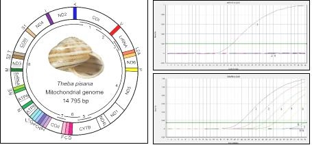 亮剑！外来有害生物防御者联盟-26.jpg