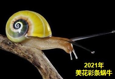 亮剑！外来有害生物防御者联盟-30.jpg