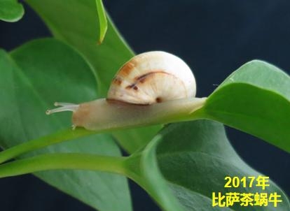 亮剑！外来有害生物防御者联盟-31.jpg