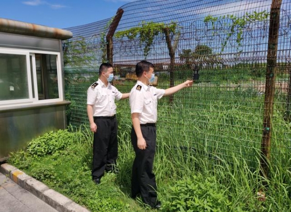 【卫生检疫】夏季来临，警惕登革热！-11.jpg