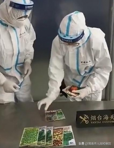 烟台海关查获10包非法入境种子-1.jpg