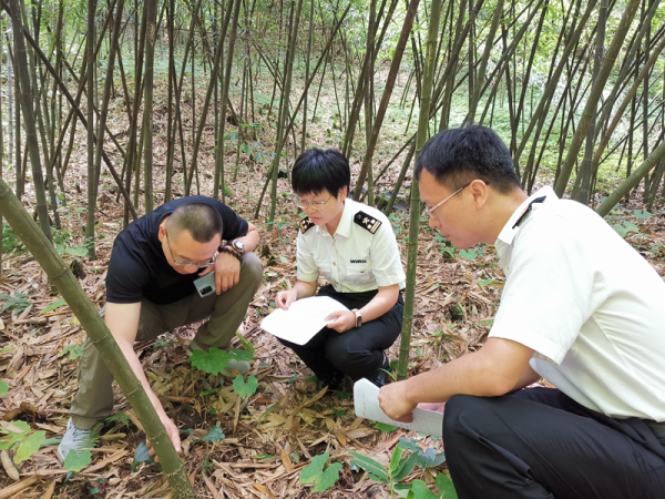 【动植物检疫】出口食品原料种植场备案办事指南w12.jpg