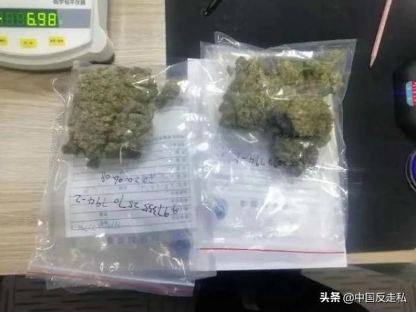 【中国反走私】成都海关禁毒工作战果累累 持续发力推进禁毒人民战争-7.jpg