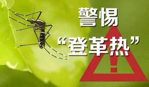 【卫生检疫】夏季来临，警惕登革热！-2.jpg