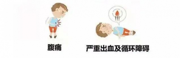 【卫生检疫】夏季来临，警惕登革热！-6.jpg