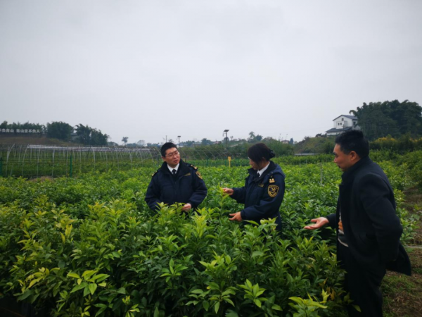 【动植物检疫】海关口岸验核监管证件之动植物检疫篇w2.jpg