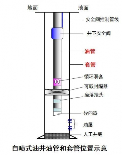 严格遵循行业领域内的使用规范才能确保专业名词翻译的准确性-8.jpg