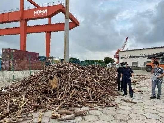 查！沙田海关查获濒危物种黄檀木27.78吨-1.jpg