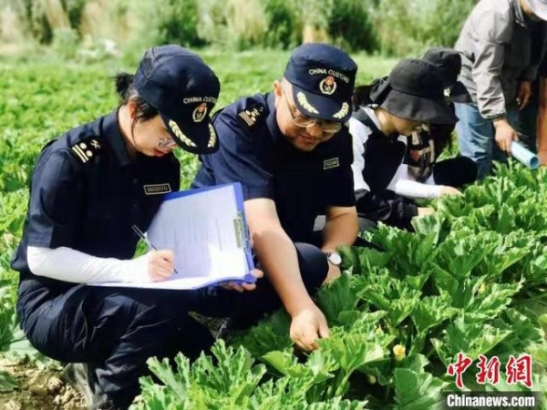 兰州海关“技防”有害生物传入 消除甘肃外繁制种企业出口障碍-1.jpg