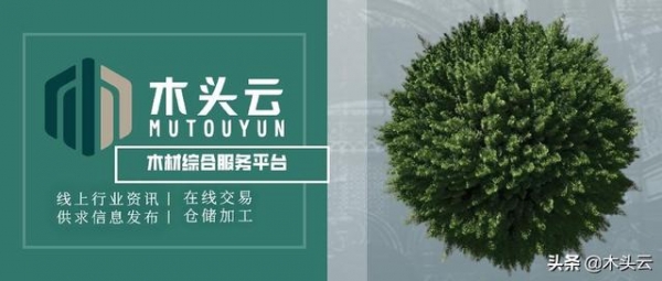 国内各海关助力进口原木通关-4.jpg