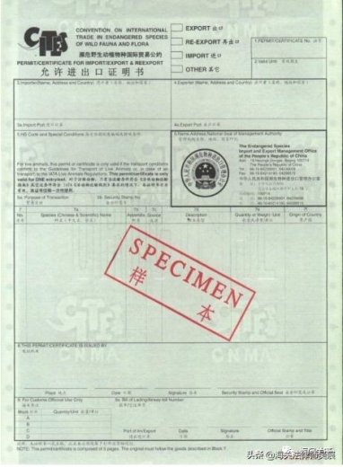 非<进出口野生动植物种商品目录>物种证明，报关后补交可以吗？-1.jpg