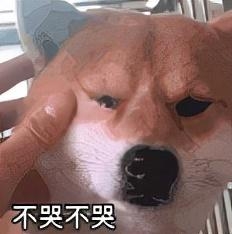 那些年，留学生在海关被没收的东西-26.jpg