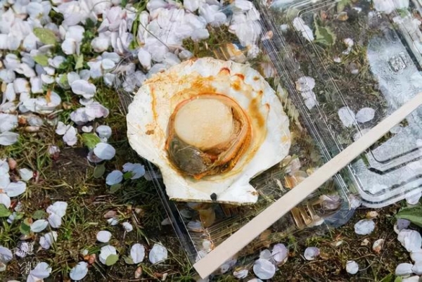 进口日本干帆立贝报关清关所需资料以及流程-2.jpg