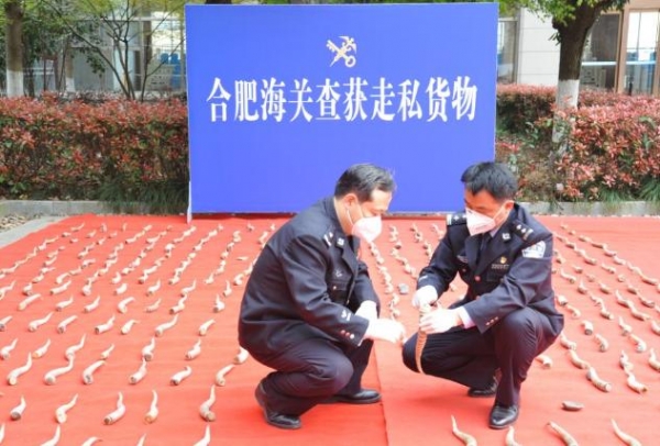 海关拦下一艘小船，意外查获百支人体血液样本，里面含有危险病毒-3.jpg
