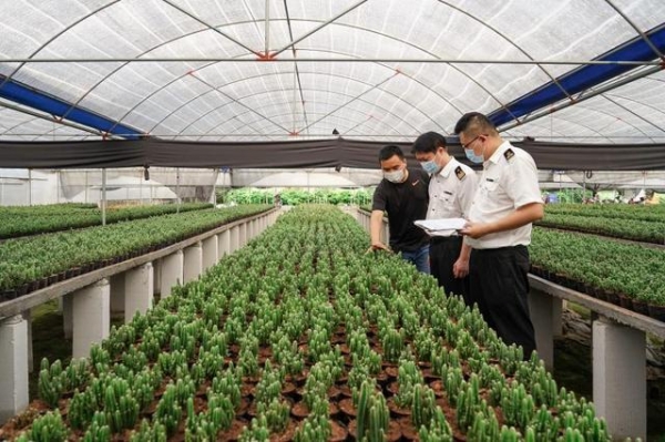 为企业纾困减负！广州海关出台16条措施-2.jpg