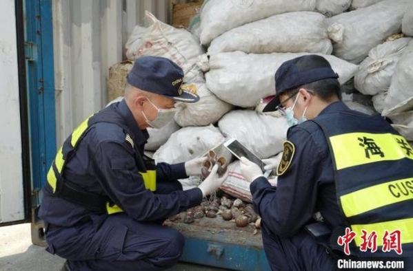 深圳海关上半年查获“洋垃圾”近两千吨-1.jpg