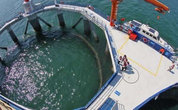 “耕海1号”通过海关出境水生动物养殖场注册验收-1.jpg