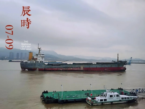 抗疫小马的一天w4.jpg