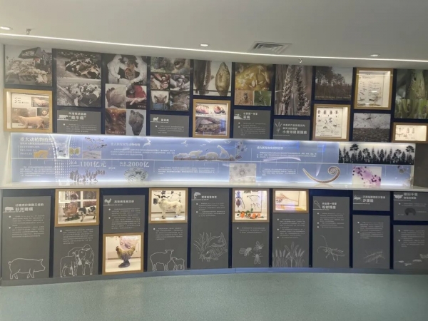 揭开厦门海关国门生物安全展厅神秘面纱w17.jpg