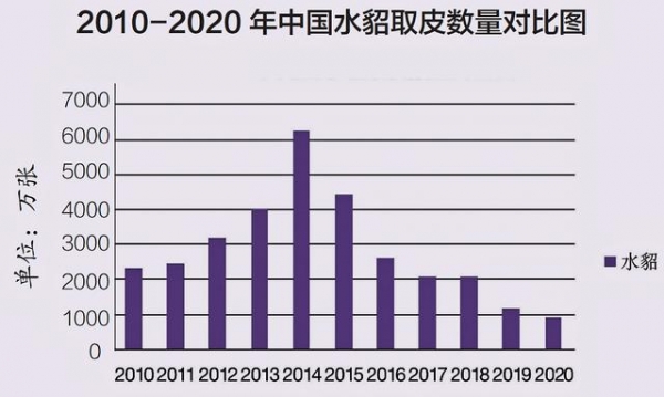 广东海关查获1079张貂皮制品，水貂市场“出圈”，谁才是受害者？-7.jpg