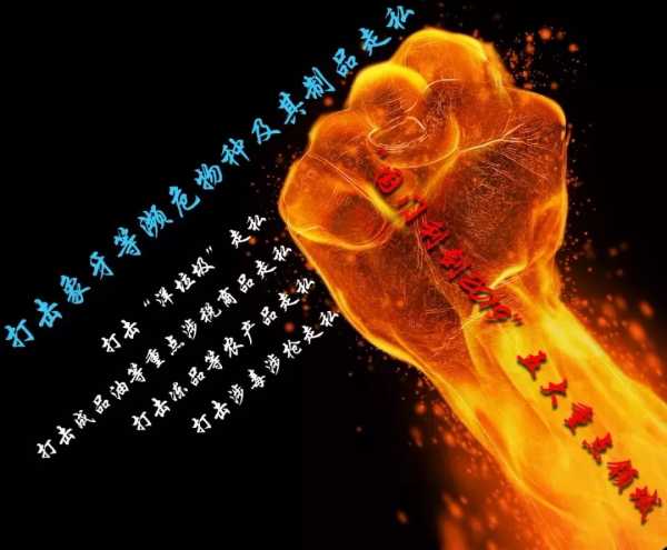 广州海关严打走私系列——美丽地球篇w2.jpg