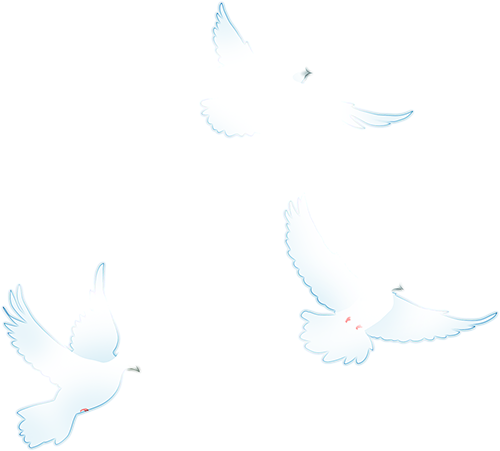 w15.jpg