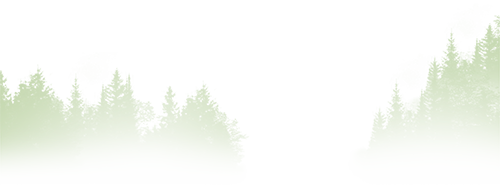 w6.jpg