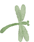 w15.jpg