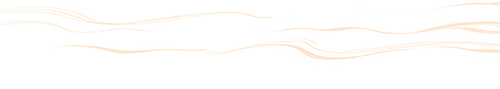 w2.jpg