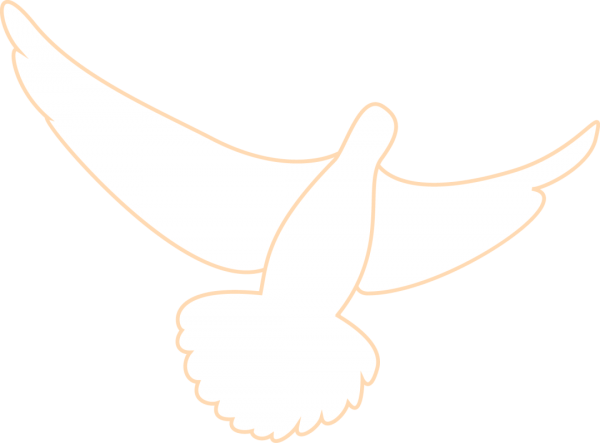 w8.jpg