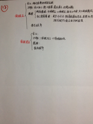 照片 125_缩小大小.jpg