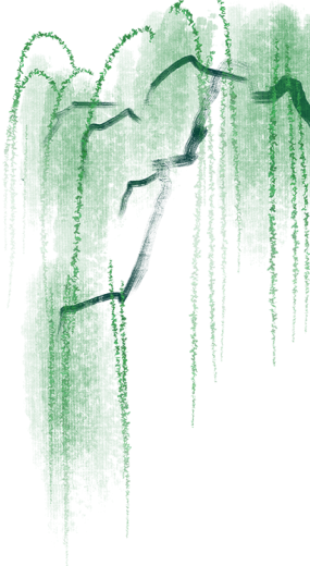 w3.jpg